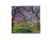 Claude Monet Printemps a Giverny Spain oil painting reproduction